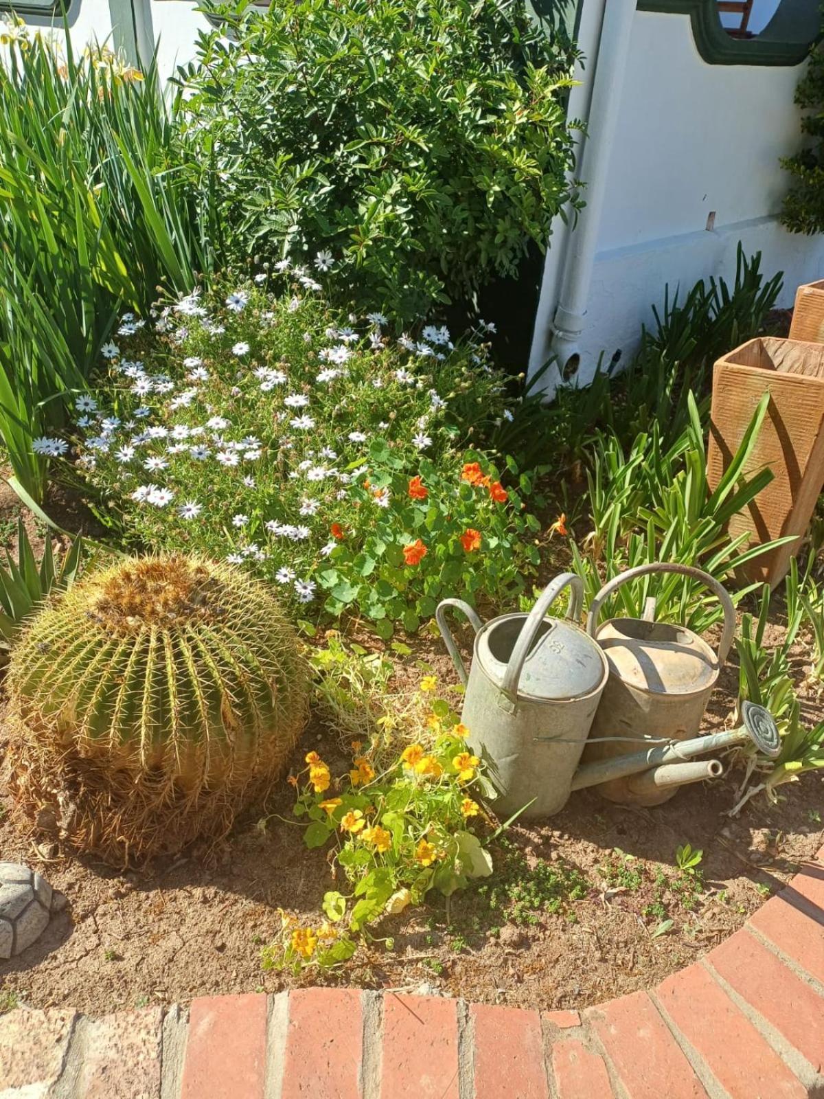 De Oude Yotclub Bed & Breakfast Oudtshoorn Luaran gambar